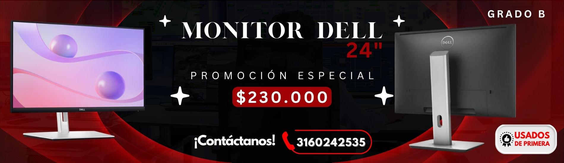 Monitor DELL 24_ Sales TS